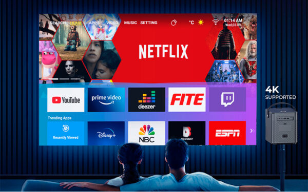 dbff9d_97000086df8440e2b63459621207516fmv2.jpg Proyector Mini Havit Pj205 Pro 4k Android Tv 9.0 Gris